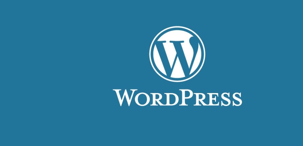 Top 5 Points for Optimizing Your WordPress Website for Improved SEO Ranking