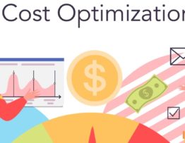 cost of customer acquisition, low CAC, optimize CAC