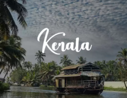 kerala tourism marketing, kerala tourism marketing strategies, kerala tour operator marketing, digital marketing for kerala tourism