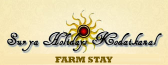 kerala digital marketing agency's client surya holidays resort